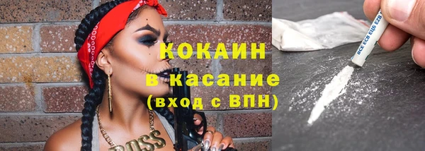 индика Саяногорск