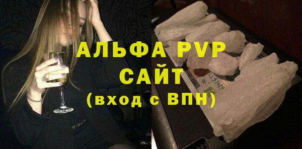 индика Саяногорск