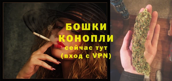индика Саяногорск