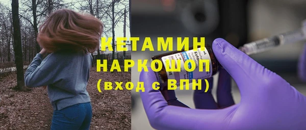 индика Саяногорск