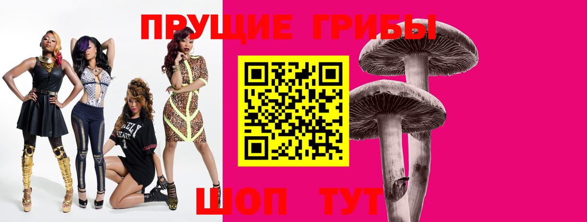 Унеча  как найти закладки  Вход с VPN  Псилоцибиновые грибы ЛСД 